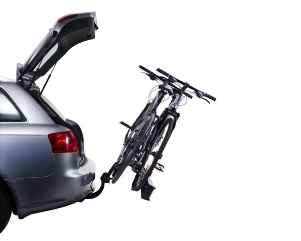 thule rideon 9502