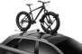 Thule UpRide 599 Cycle Carrier